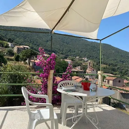 Avec Terrasse Et Vue * Calcatoggio (Corsica)